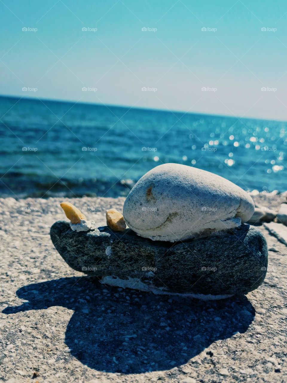 stone snail