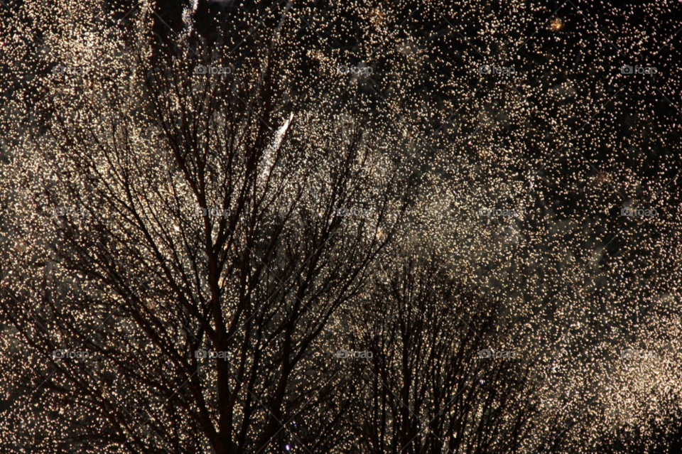 fireworks rye bonfire night guy fawkes by leonbritton123