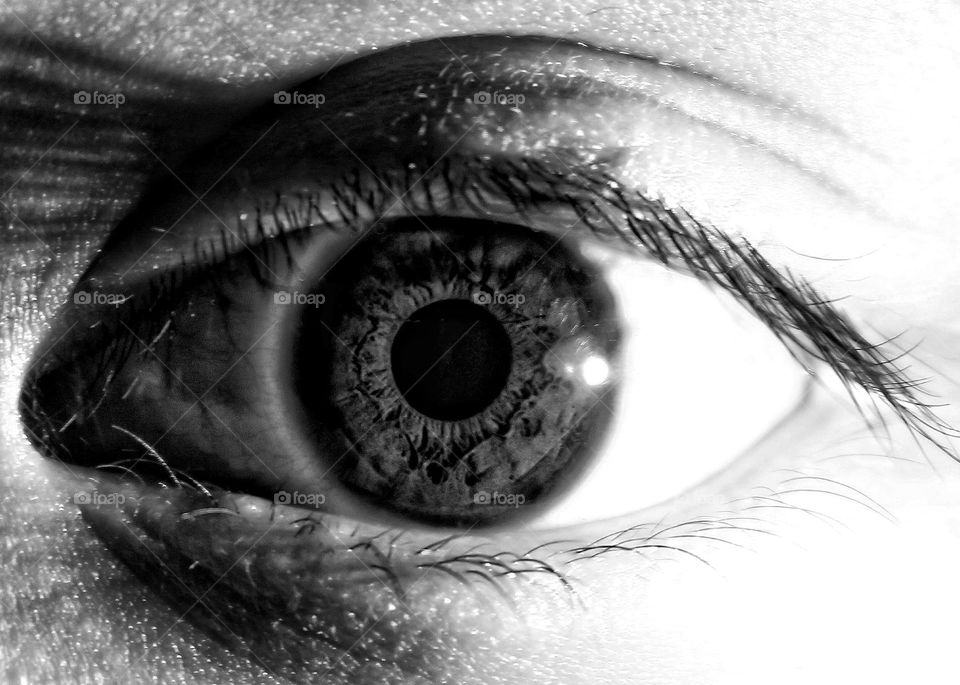 Eye - Iris - Pupil