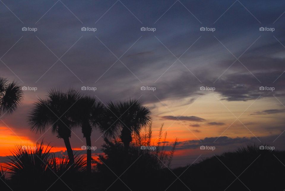 Dusk in Florida