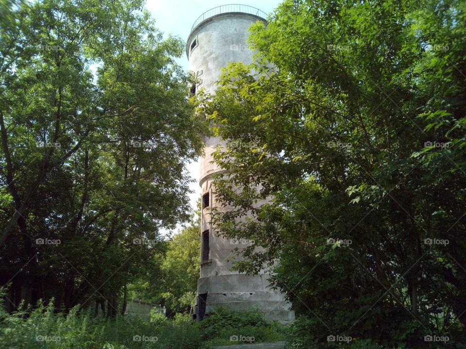Tower among the trees