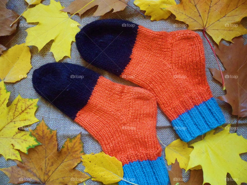 knitted warm socks and autumn leaves