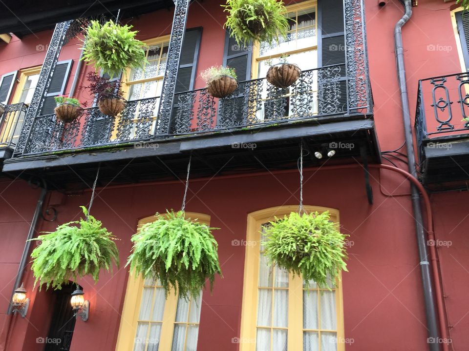 New Orleans 