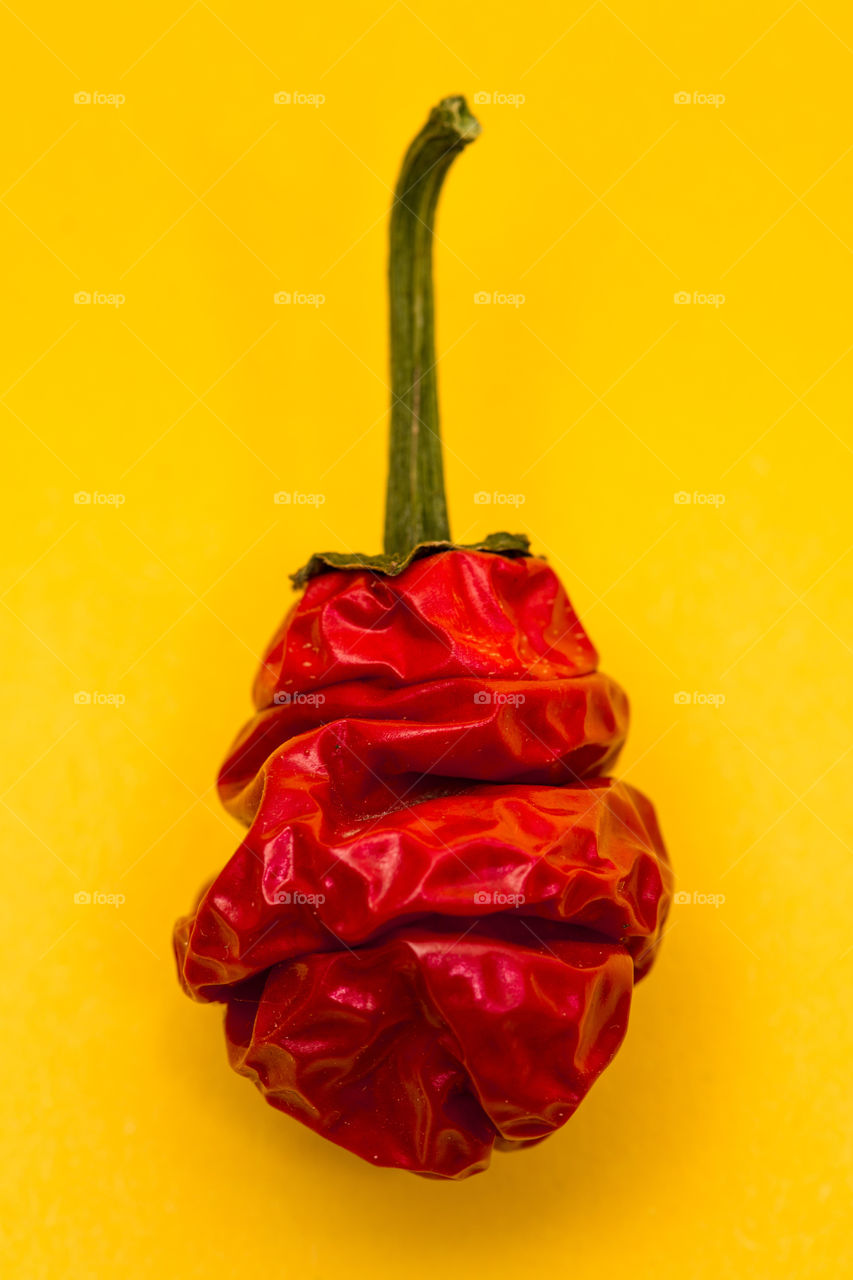 Red Hot Chilli Pepper