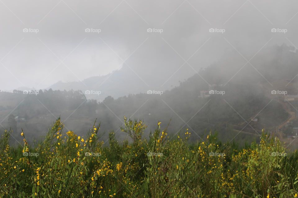 Foggy mountains 