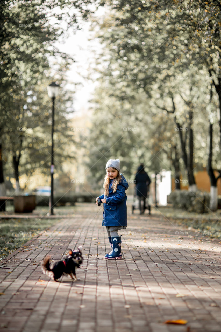 Little girl in waterproof boots walking with chihuahua dog 