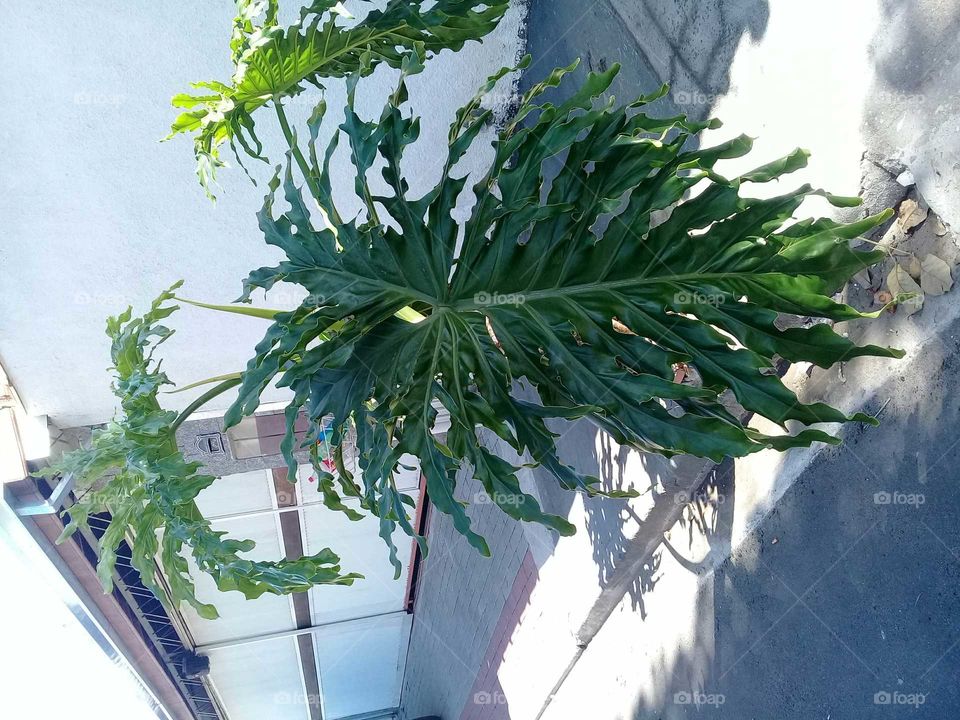 miracle of nature always in our favor