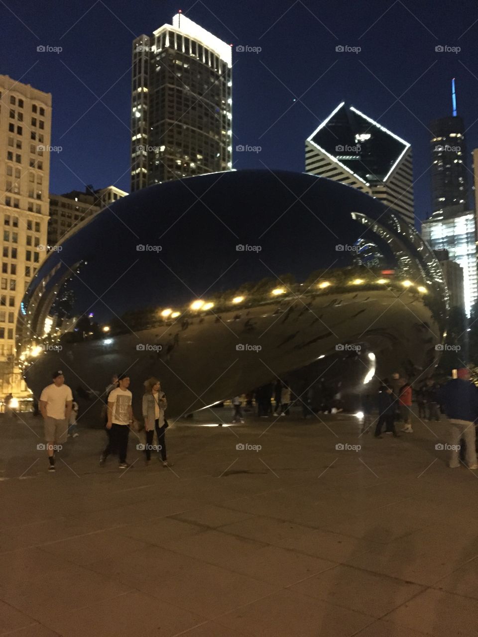 Chicago Millenium Park / Bean