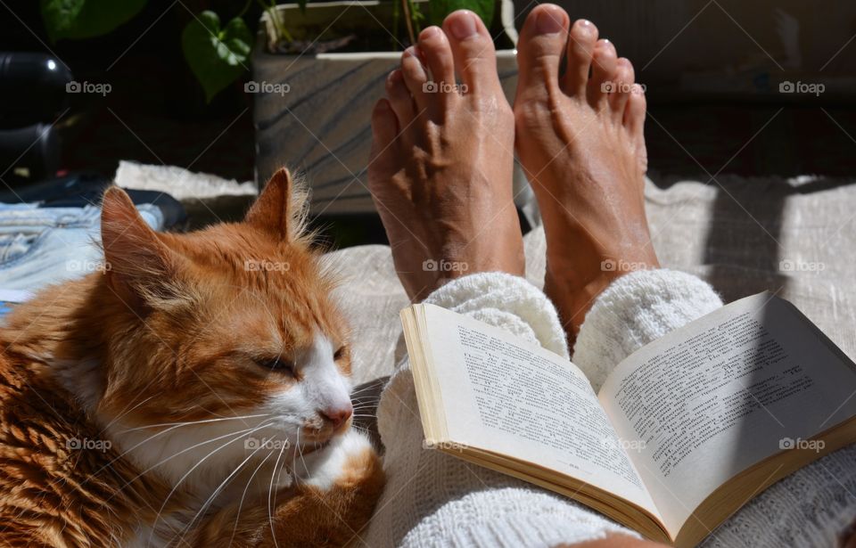 female legs barefoot with book reading and cat pet friendly