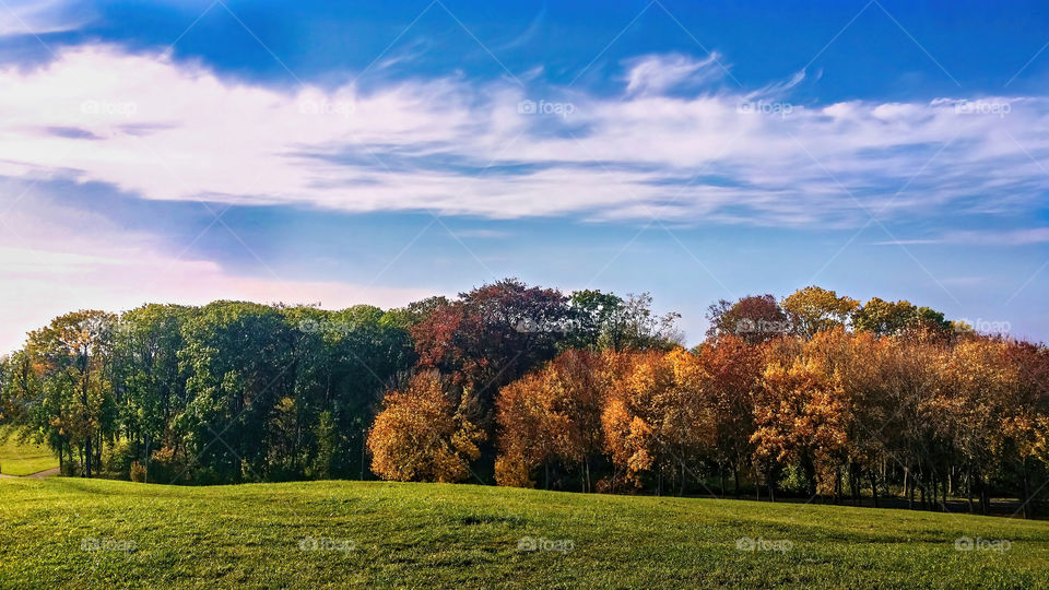 Autumn colors