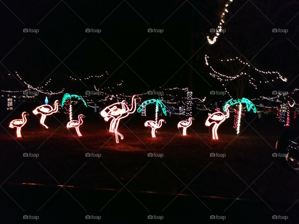 Florida version of Christmas lights flamingos palm trees