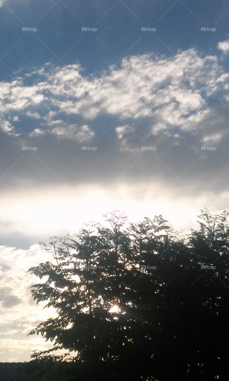 Maybe it is me, but, the 
Clouds have been  
More picturesque 
Then I remember 
Them to be.
They are more then 
Ducks and puppy' s 
Kitties and guppies,
Clouds are Unique 
They change as fast,
As my heart beats.
I have always Loved
To look up , outside
Then down, plus i am
An avid rock hound 
My hubby just tries 
To deal with all the 
Rocks , I have , inside
Our room , all around.
And if i could , guess what
Else would be , Hanging
Up and just floating , up
And down ?