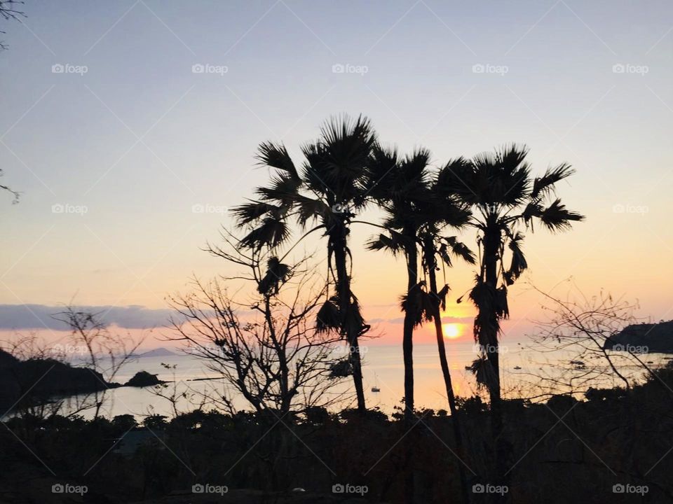 komodo island at Labuan bajo