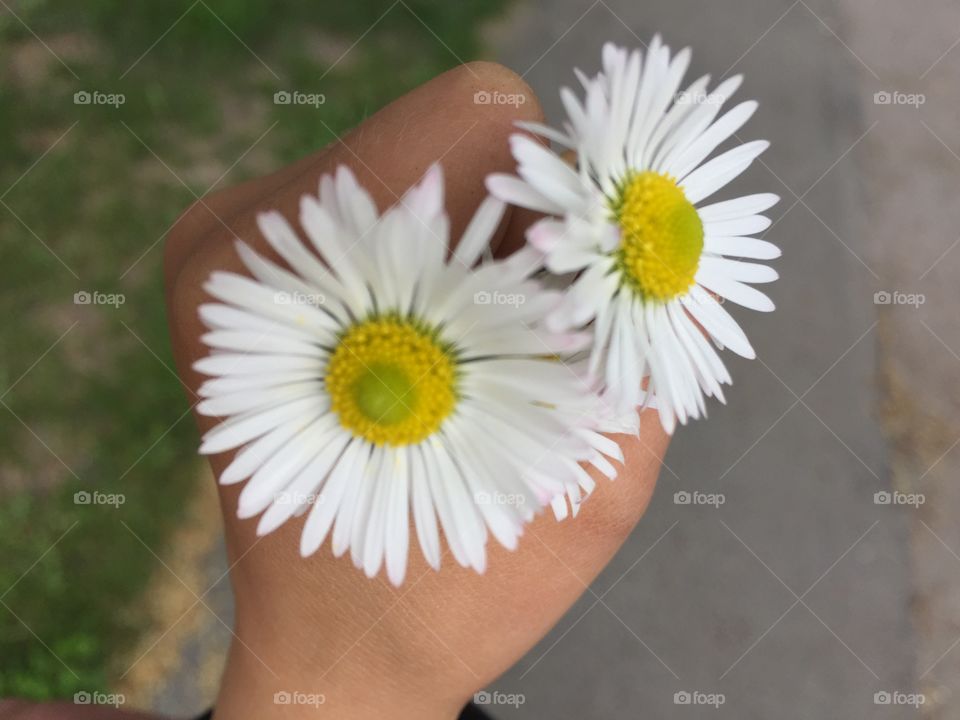 Holding flowers
