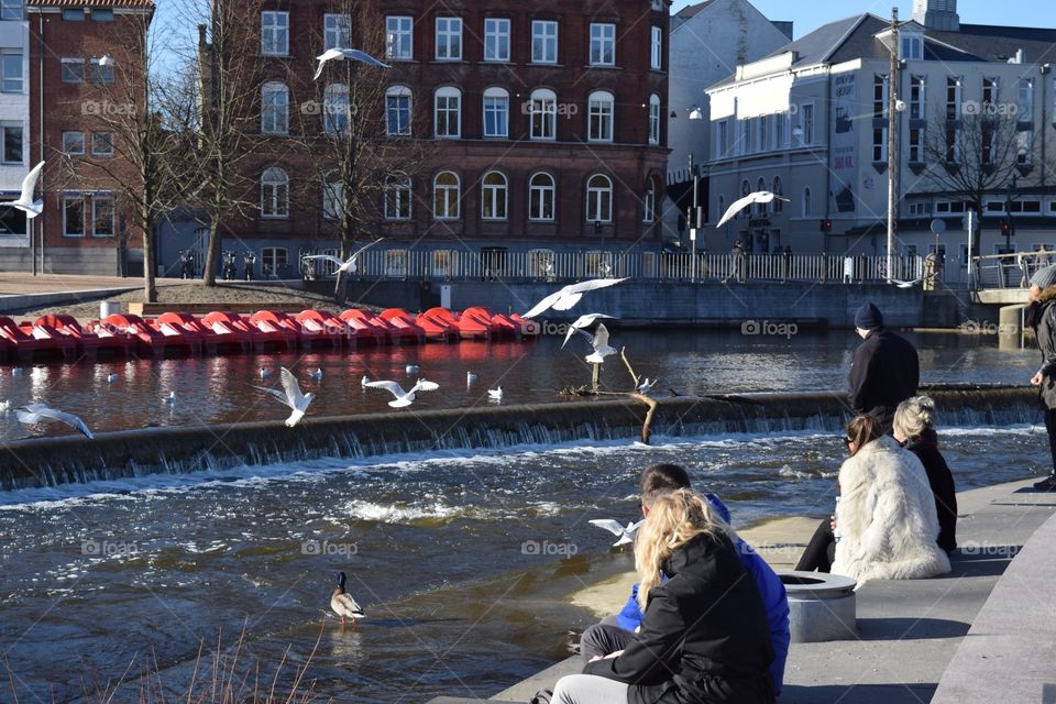 People enjoying a sunny day by the lake