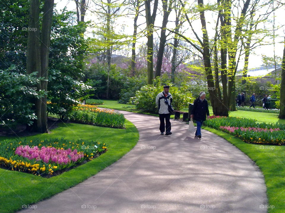 keukenhof garden. taken in Amsterdam in spring 2010