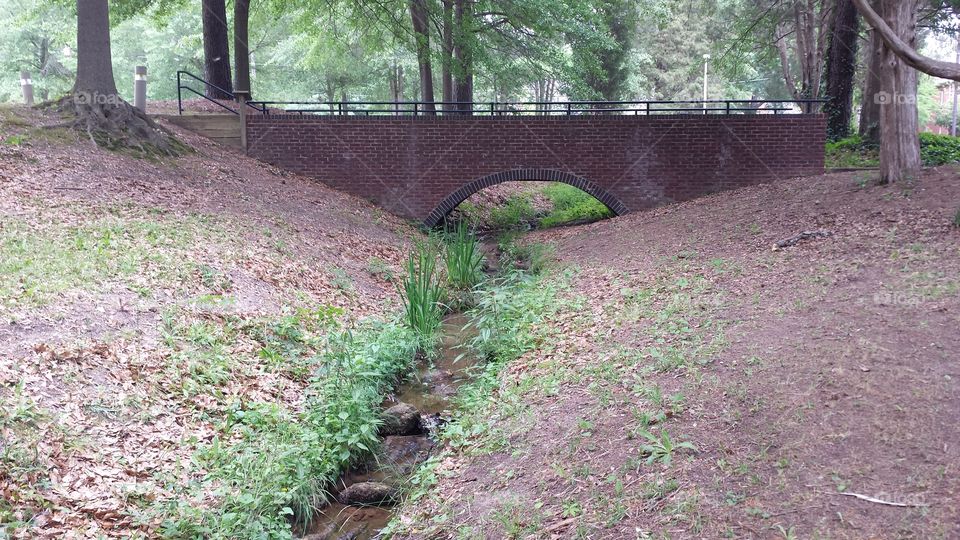 bridge creek