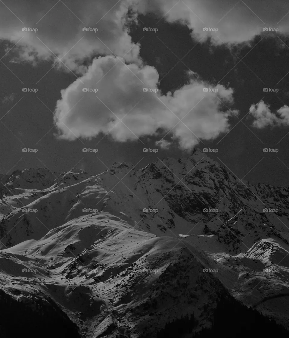 Nature's art of black and white
