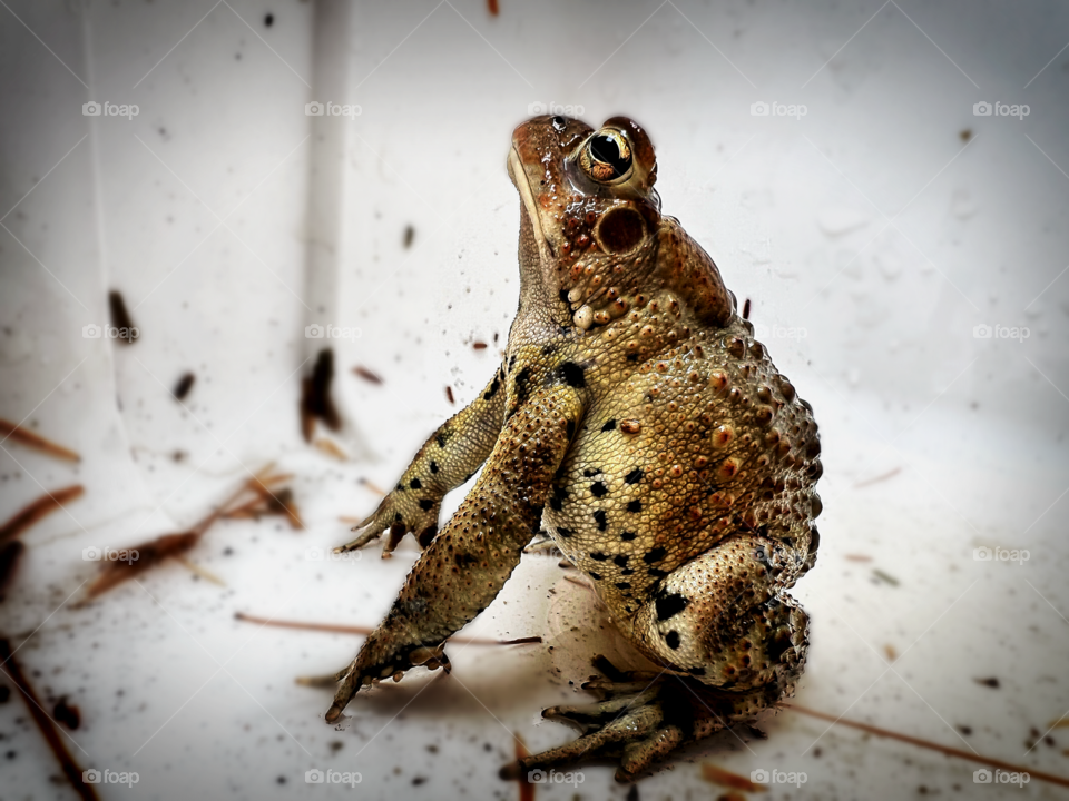 Preparing for the next leap