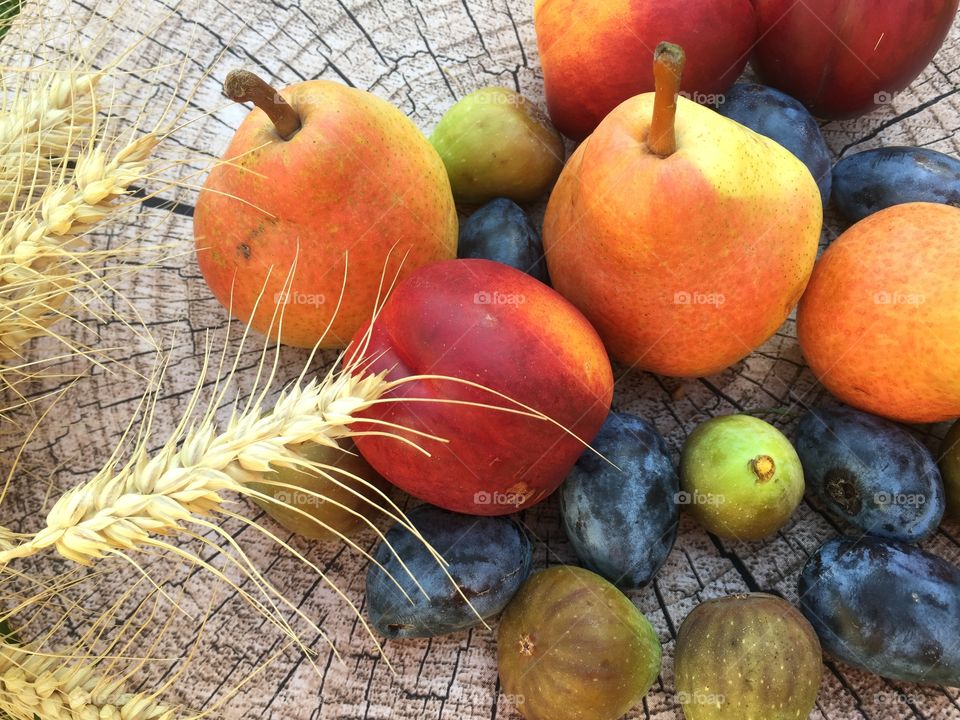 Autumn fruits