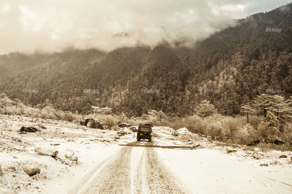 Mystic snow covered forest road leading through lush foliage, from Sonmarg To Gulmarg to Srinagar, Pahalgam, in Kashmir, Indian paradise. Magical Winter Road Trips In India with Chills and Thrills.