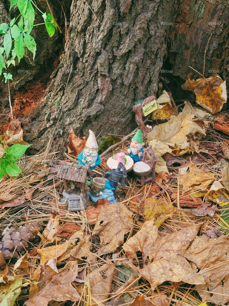 Hiking surprise! Gnomes having a picnic