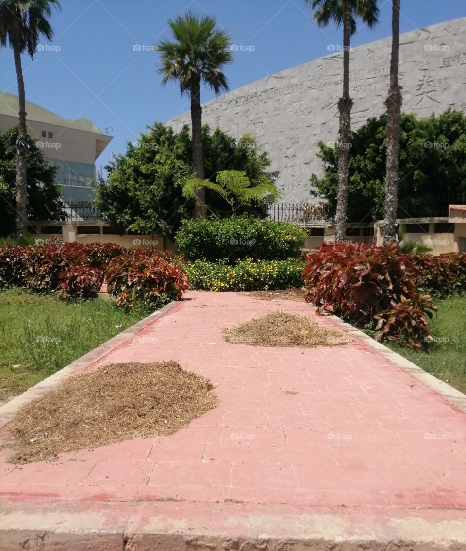 A beautiful garden with blue sky, multicolored trees and buildings behind it,  Alexandria library .