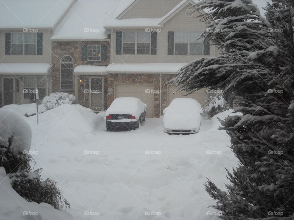 winter in PA- 2010