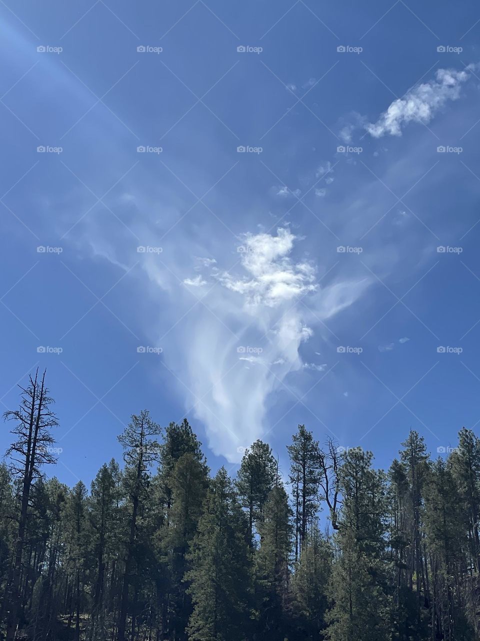 Finding angels messages 