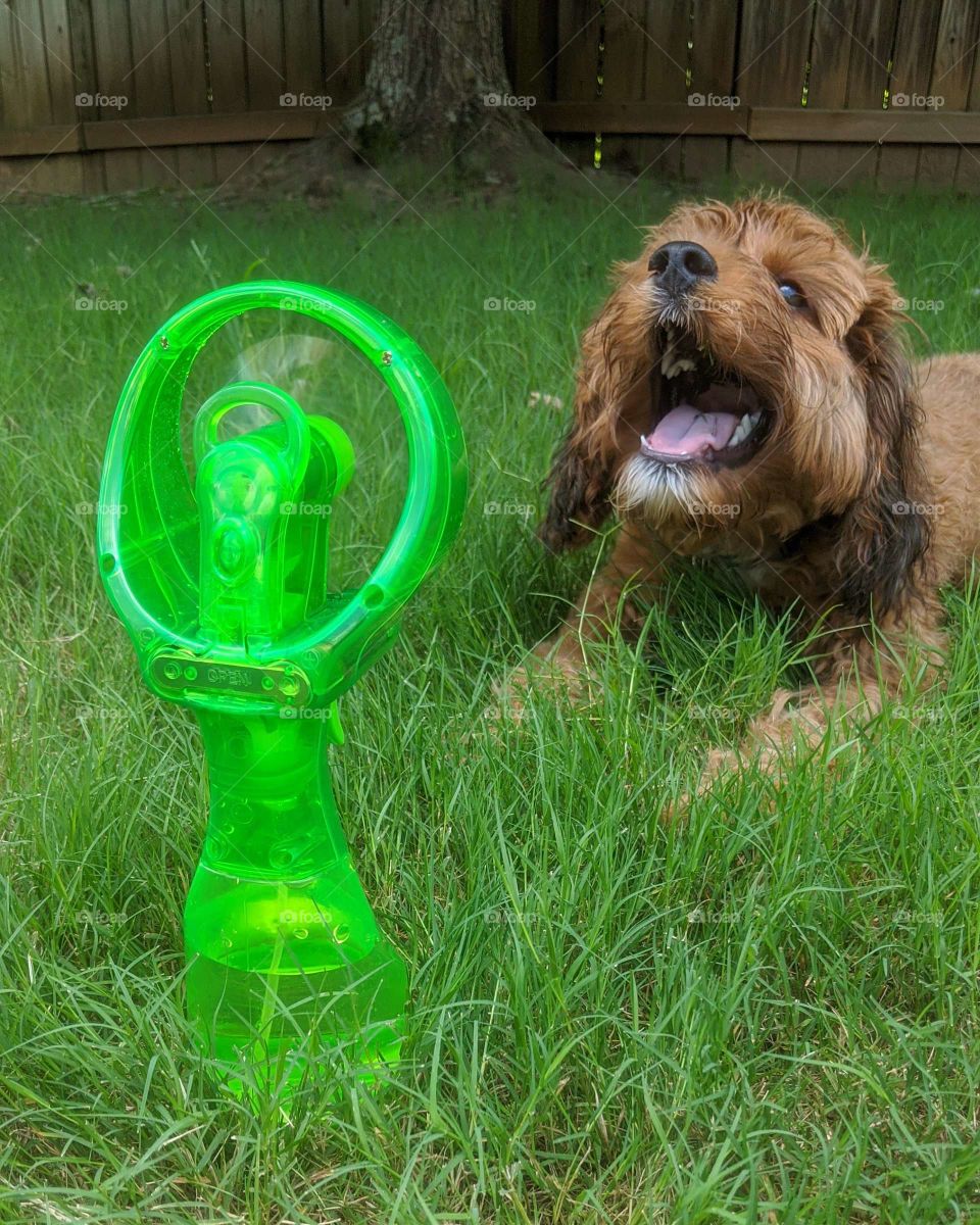 cooling off summer heat