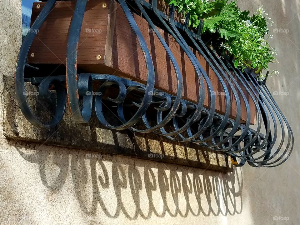 shadow of a potted plant