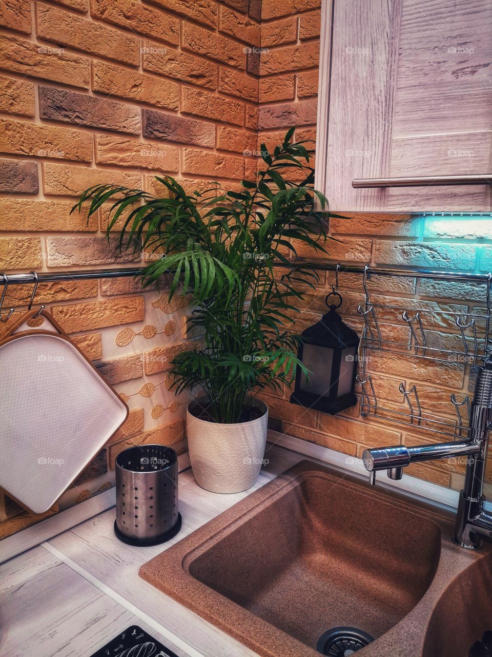 Plant green house Park colors greens