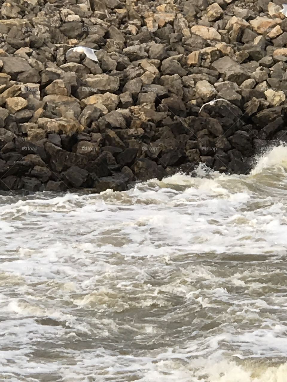 US Army Corps of Engineers, Oologah Lake Oklahoma water release area, Winter-January, water in channel, shore boulders of riprap, foam on water, seagulls flying and catching fish.