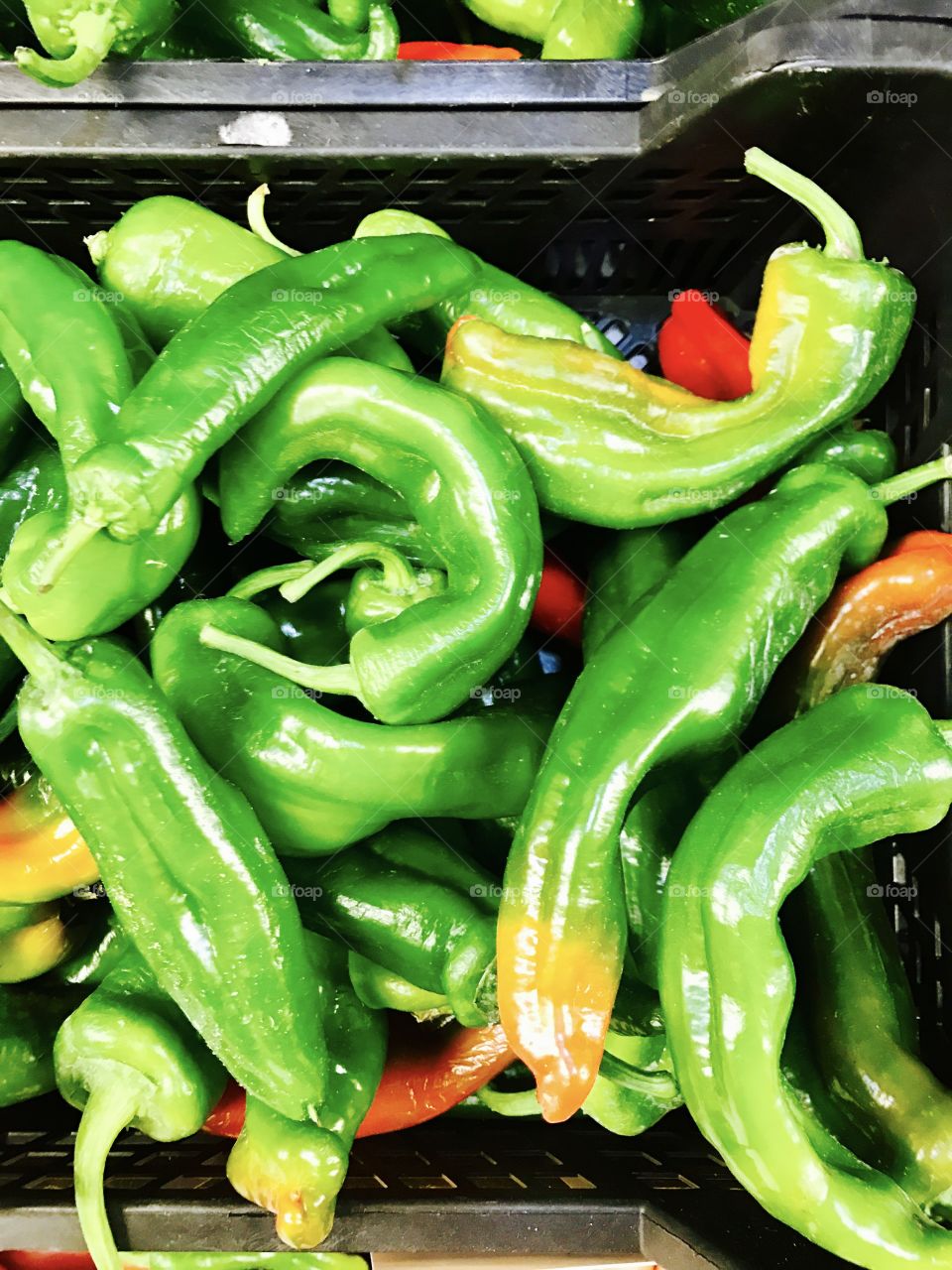 Peppers-green-veggies -cooking 