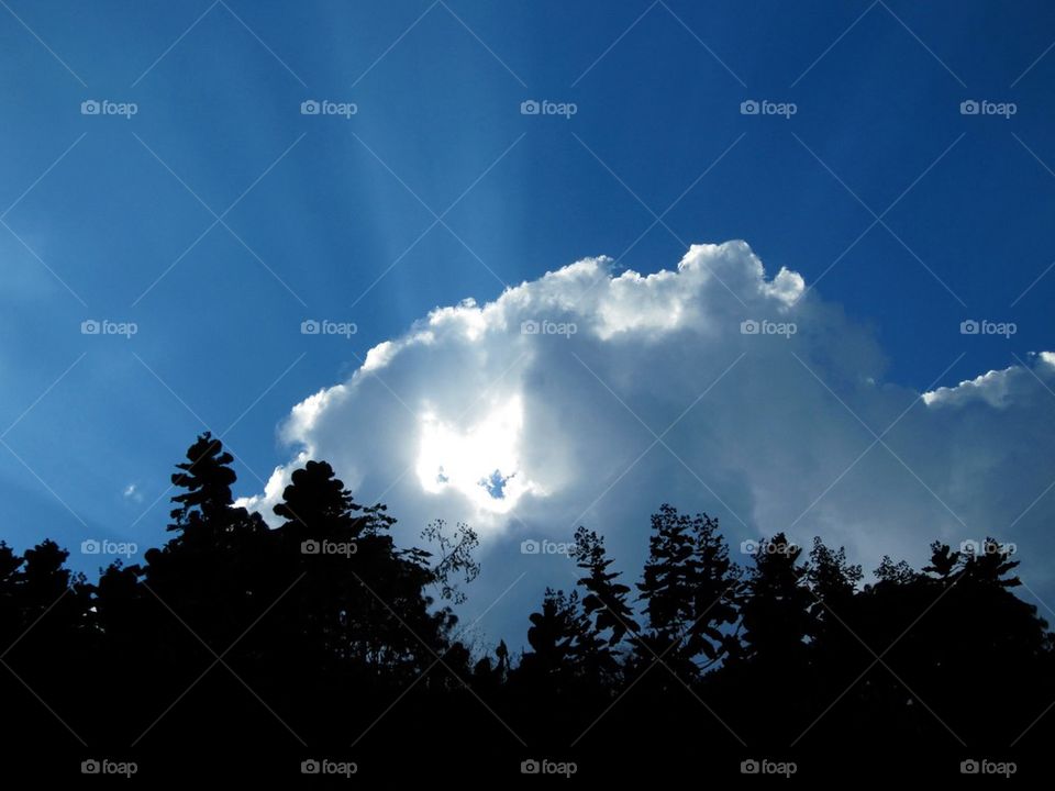 Low angle view of sky and clouds