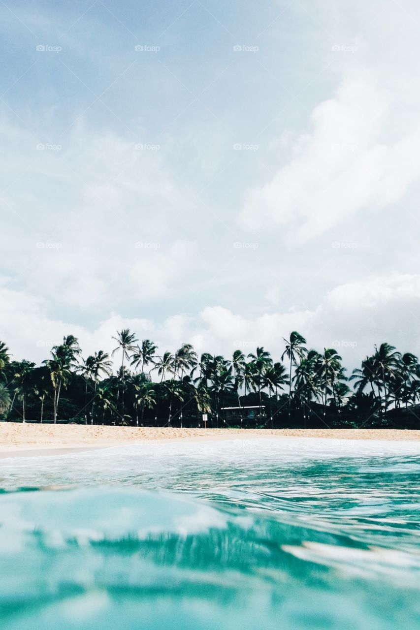 View of the beach from the ocean.