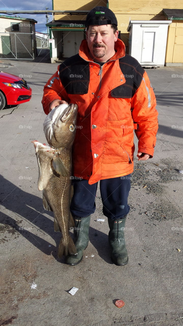 thats me with a cod fish caught in newfoundland at weight close to 40 odd pounds ...