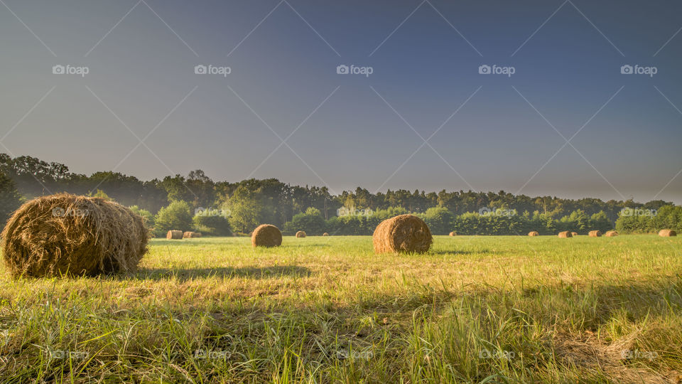 Milicz, Staw Słoneczny, Poland