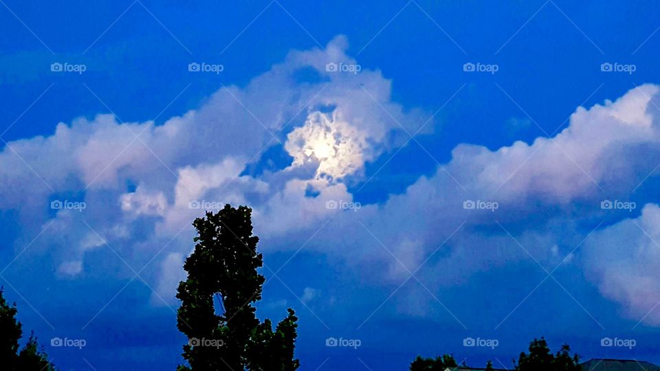 Moonlit sky