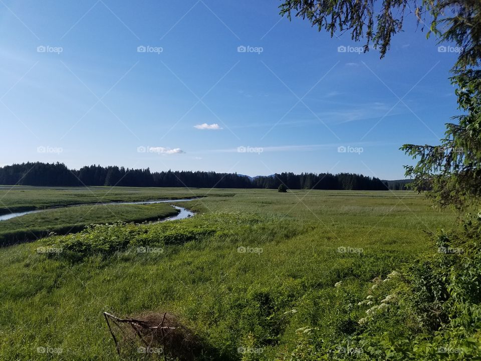 Taken near St. John's Bay on a beautiful day in the outdoors