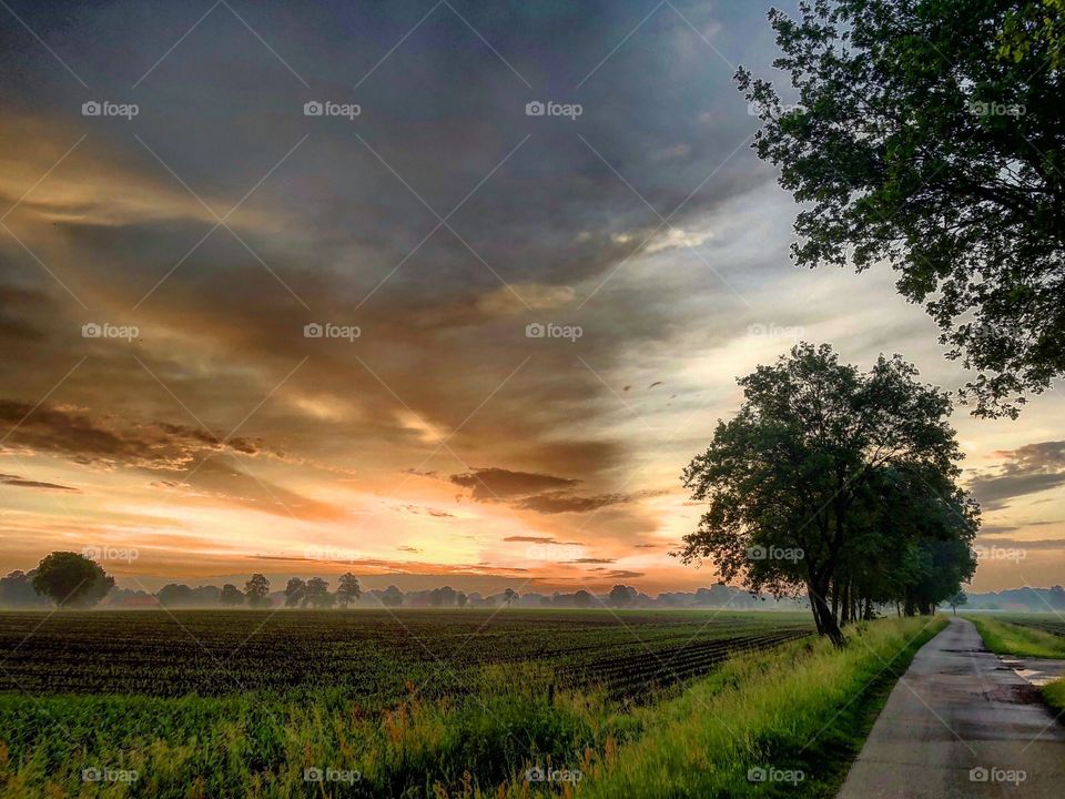 Rural sunrise over the farmfields 