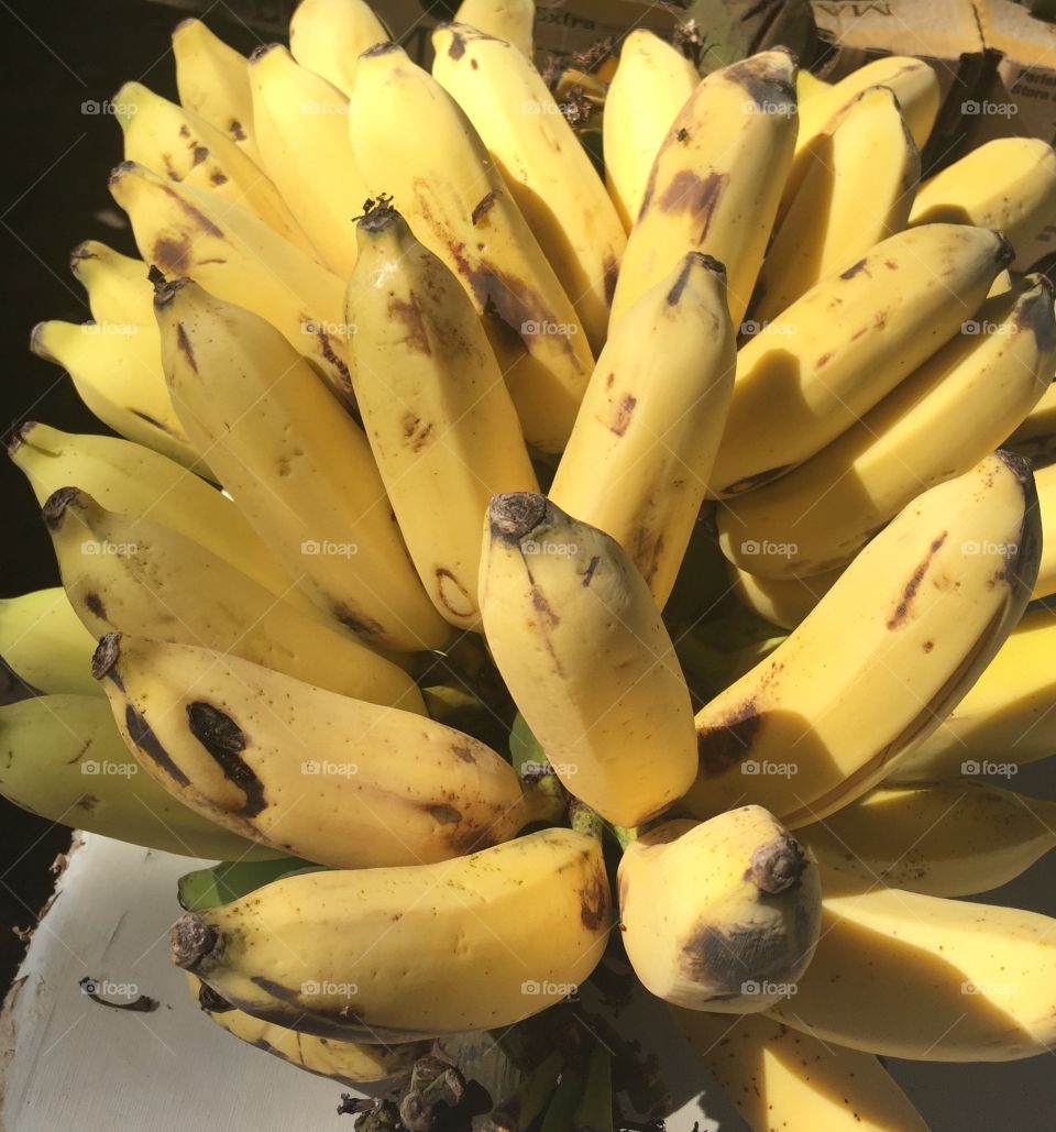 Bunch of Bananas