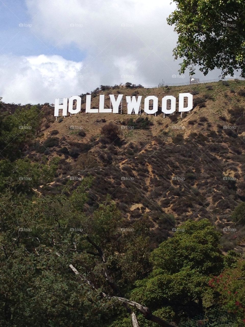Hollywood