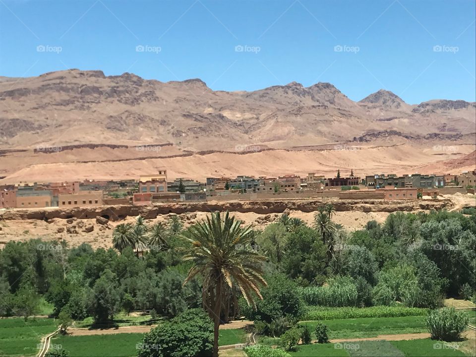 Oase in der Wüste von Marokko 