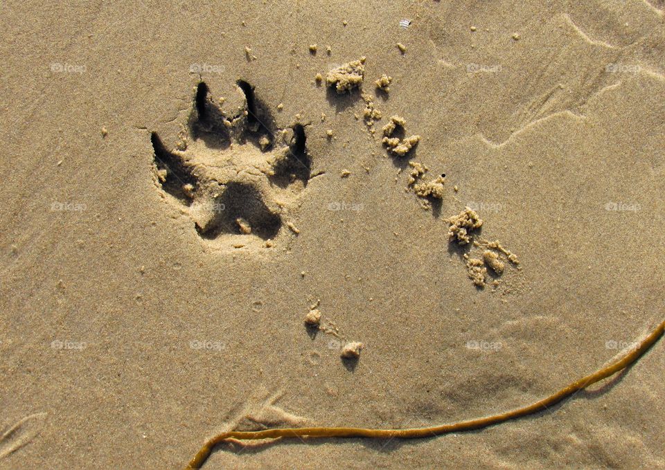 On the beach