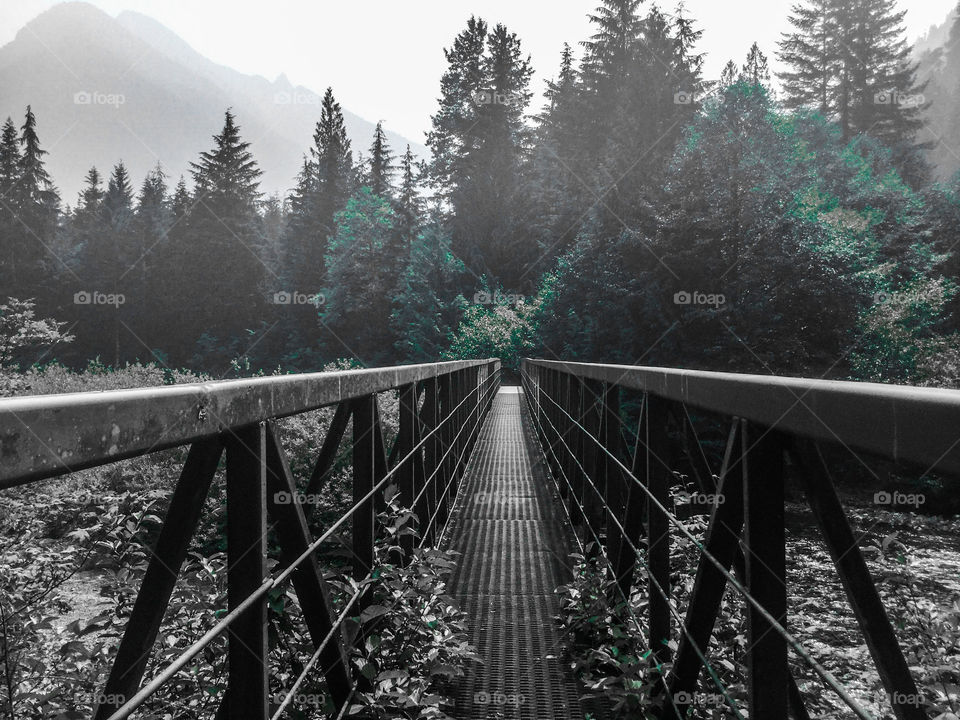 Bridge over the river in Manning Park 