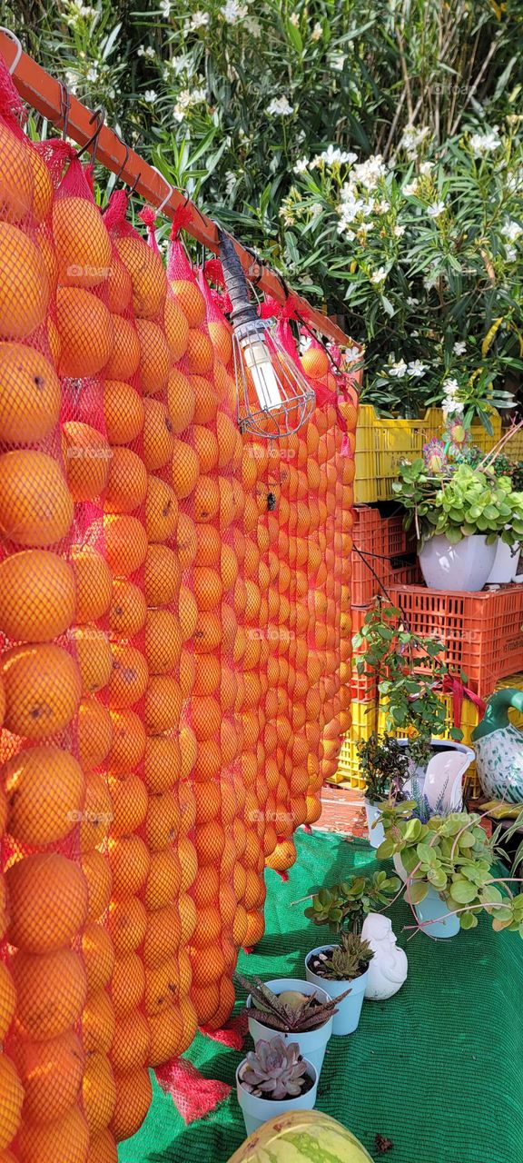 Spanish Oranges