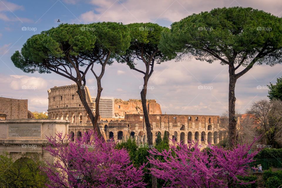 Rome's most famous amphitheater Colosseum