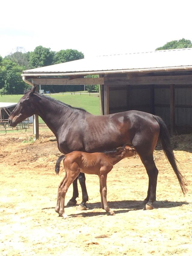 mommy and baby