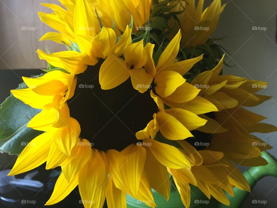 Bright cheerful sunflowers 